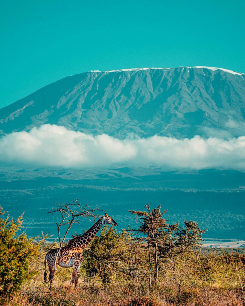 Best 10 Top Cities Summer Vacation in Africa