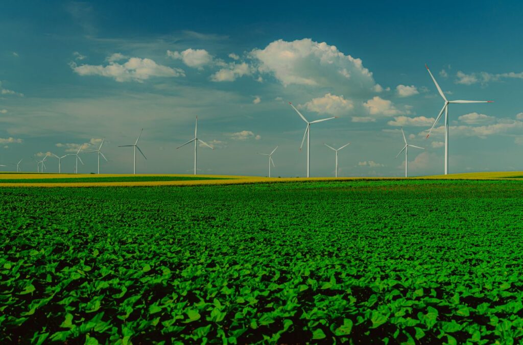 Climate Change & Sustainability