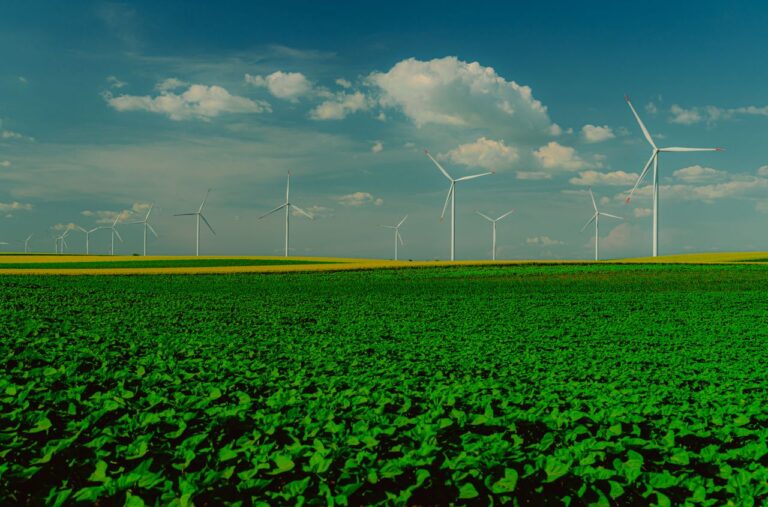 Climate Change & Sustainability
