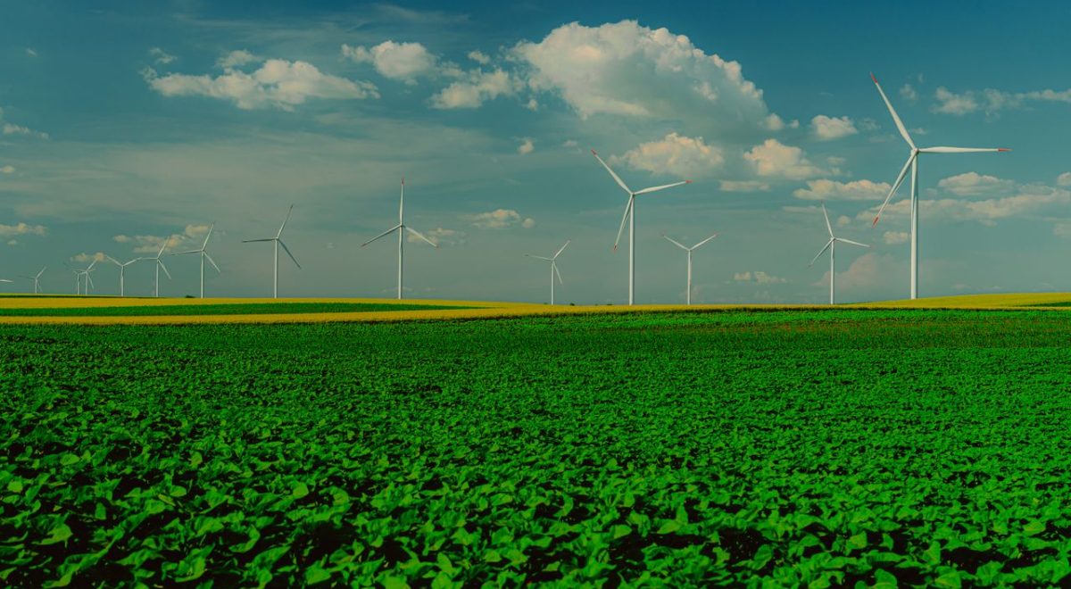 Climate Change & Sustainability