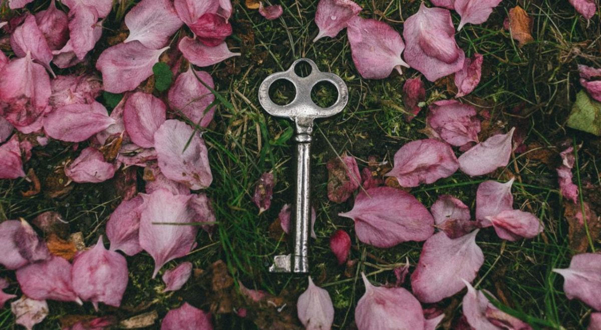 Key Metrics and Milestones